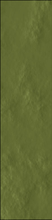 img31544.jpg